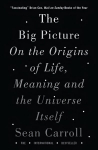 Big Picture: On the Origins of Life, Meaning, and the Universe Itself