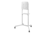 Neomounts p&otilde;randastend NS-M1250WHITE, kuni 70", 178 cm, VESA 200x200-600x400 mm, 70 kg, kaablite haldamisega