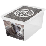 Branq hoiukast Box Deco, 30 l