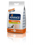 ADVANCE kana ja riisiga Cat Adult, 3 kg