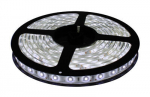 LED Riba Komplekt, k&uuml;lm valge 60LED/m, IP65, 5m, CW