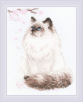Tikkimiskomplekt RIOLIS 1878 Miau-Zen