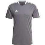 Meeste T-s&auml;rk Adidas Tiro 21 Training Jersey M GM7587, hall