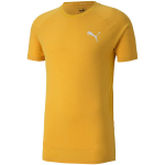 Meeste T-s&auml;rk Puma Evostripe Lite Tee kollane 581534 25