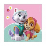Pabersalvr&auml;tikud Paw Patrol Skye ja Everest, 33 x 33 cm, 20 tk.