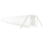 Kasvuhoone vidaXL, 40 m&sup2;, 20x2x2 m
