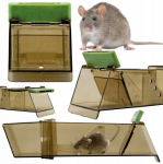 Hiirel&otilde;ks Trixie