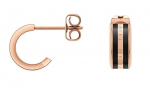 Terasest K&otilde;rvar&otilde;ngad naistele Daniel Wellington DW00400310 sDW0060