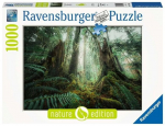 Pusle Ravensburger Forests, 1000 tk.