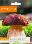 M&auml;nnipuravik (Boletus Pinophilus)