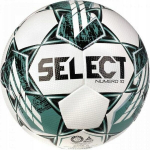 Jalgpalli pall Select Numero 10 Fifa, suurus 5
