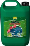 Vetikatevastane preparaat Tetra Pond AlgoFree, 3 L