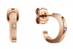 Pronks k&otilde;rvar&otilde;ngad naistele Daniel Wellington DW00400349 sDW0062
