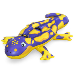 Ratsutav ujumisvarustus - BESTWAY - Splashin' Salamandera - 180 x 112 cm - Alates 3. eluaastast - &Uuml;ksikasjalik.