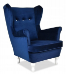 ARI Skandinaavia k&otilde;rvaklappidega tugitool Family Furniture rukkilille sinine veluurist