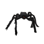 &Auml;mbliku kaunistus, 50 cm