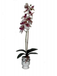 Kunstlik orhidee Sofi