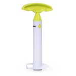 Ananassil&otilde;ikur