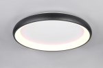 Laelamp Cardona, must