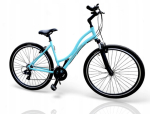 Alumiiniumist cross-jalgratas kiire 29 naiste meeste 21 shimano amort