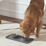 Penguin Home 4 tk roostevabast terasest halli v&auml;rvi lemmikloomakausside komplekt halli s&ouml;&ouml;tmismatiga &ndash; t&auml;ielik s&ouml;&ouml;tmislahendus &ndash; lekkekindel, libisemiskindel ja veekindel koertele ja kassidele &ndash; 425 ml kausid, 48 x 24 cm matt