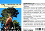 Seedeo&reg; paljunduskomplekt 'mountain Mammoth Tree' (sequoiadendron Giganteum) 50 seemet