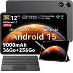 Tahvelarvuti Oscal Pad 100 12" Android 15 2.4G+5G Wifi RAM 36GB ROM 256GB/SD 2TB 9000mAh 16MP+8MP Hall + K1