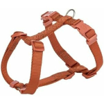 Koera rakmed Trixie Premium Oranž S/M