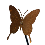 Aia tara, 1 small rusty butterfly
