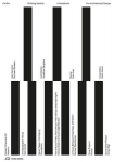 CARTHA - Building Identity: A Handbook for Architectural Design, CARTHA - Building Identity: A Handbook for Architectural Design