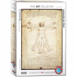 M&otilde;istatus Heye Leonardo da vinci vitruvius mees 1000 &uuml;ksikasjad