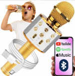 Happy people andy kuldne karaoke mikrofon pidudeks valgusega ja h&auml;&auml;levahetuse funktsiooniga