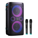 Muusikakeskus Hisense HP110 Plus Party Rocker One Plus, 2 microphones, black - Party speaker