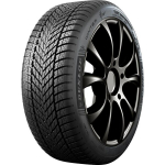 Dunlop Winter DOT 2025