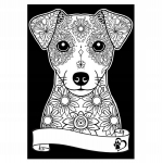Colorvelvet A4 sametv&auml;rvimisraamat - Jack Russelli terjer