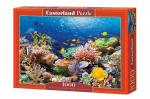 Pusle Puzzle Castorland Coral Reef Fishes, 1000 tk