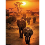 Teemanttikand 40x50 cm, P&auml;ikeseloojang Safari, varvikas, LG384e
