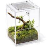 Terraarium &auml;mblikele ja putukatele Repti-Zoo PACR84, akr&uuml;&uuml;list, 11x10x16 cm
