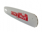 Oregon 138slbk095 mootorsae juhik, 33 cm