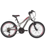 Laste jalgratas Bisan BUFFALO Light Grey/Black/Red (ratta suurus: 24", raami suurus: 12")