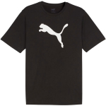 Puma Team Rise Logo Jersey Cotton meeste T-s&auml;rk, must 658705 03