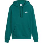 Puma ESS 2 Color Small No.1 Logo Hoodie meeste kapuutsiga pusa, roheline 684719 41