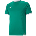 Puma teamLIGA meeste s&auml;rk, roheline 704917 05, 2XL