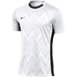 Nike Dri-Fit Challenge V Jsy SS meeste s&auml;rk, valge FD7412 100