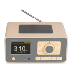 Dozza internetiraadio DAB+ Bamboo'ga