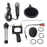 Professionaalne mikrofon