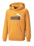 Puma kampsun poistele Desert