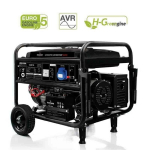 Bensiinigeneraator 9200VA/FGE9200EA Tecnoware