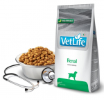 Kuivtoit koertele FARMINA Vet Life Renal Dog, 2kg