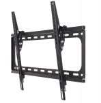 Teleri kinnitus Telerihoidik UCH0155 SLIM UNIVERSAL 37-70" 55KG POWERFULGE LARGE
